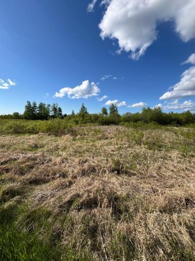 Photo for TBD 39th Street SE, Baudette, MN 56623 - Listing #6727392 TBD 39th Street SE, Baudette, MN 56623