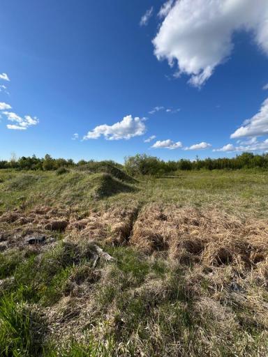 Photo for TBD 39th Street SE, Baudette, MN 56623 - Listing #6727392 TBD 39th Street SE, Baudette, MN 56623
