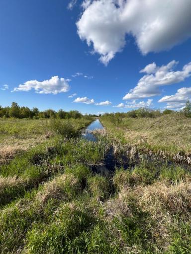 TBD 39th Street SE, Baudette, MN 56623
