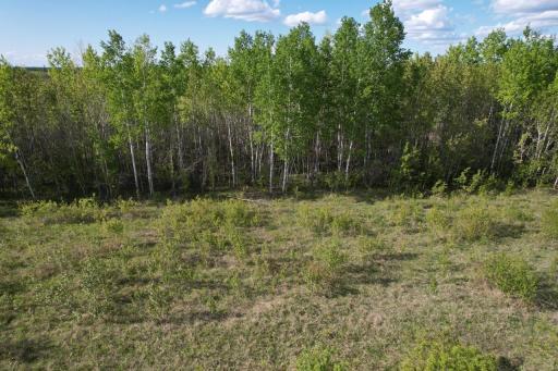 Photo for TBD 39th Street SE, Baudette, MN 56623 - Listing #6727392 TBD 39th Street SE, Baudette, MN 56623