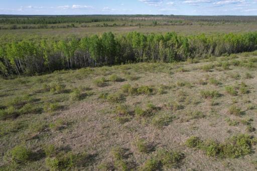 Photo for TBD 39th Street SE, Baudette, MN 56623 - Listing #6727392 TBD 39th Street SE, Baudette, MN 56623