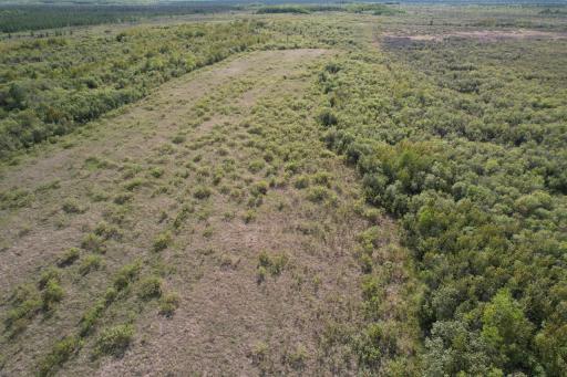 Photo for TBD 39th Street SE, Baudette, MN 56623 - Listing #6727392 TBD 39th Street SE, Baudette, MN 56623
