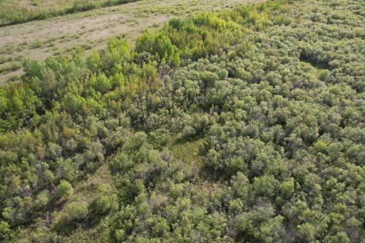 Photo for TBD 39th Street SE, Baudette, MN 56623 - Listing #6727392 TBD 39th Street SE, Baudette, MN 56623