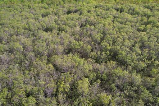 Photo for TBD 39th Street SE, Baudette, MN 56623 - Listing #6727392 TBD 39th Street SE, Baudette, MN 56623