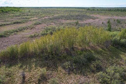 Photo for TBD 39th Street SE, Baudette, MN 56623 - Listing #6727392 TBD 39th Street SE, Baudette, MN 56623