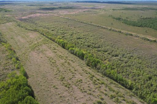 Photo for TBD 39th Street SE, Baudette, MN 56623 - Listing #6727392 TBD 39th Street SE, Baudette, MN 56623
