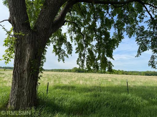 TBD - #1 Blossom Street, Ogilvie, MN 56358