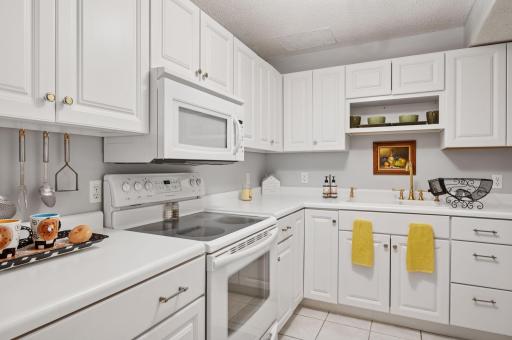A fully equipped 2nd kitchen in the lower level. A mother-in-law suite, an at-home college student, guest suite, or just another place to cook the Thanksgiving turkey, but what a bonus to have!!!!