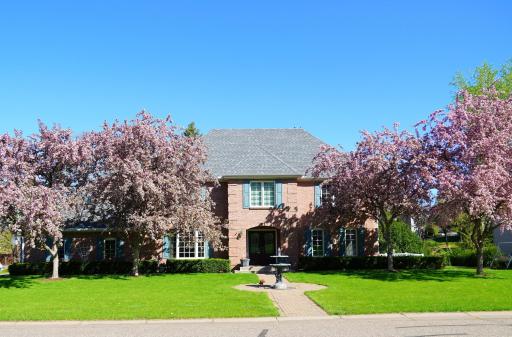 This Country French style home has mature trees that produce beautiful flowering in the spring.