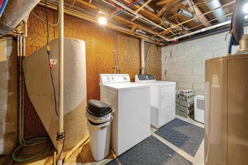 33230 Lake Emily Road, Saint Peter, MN 56082