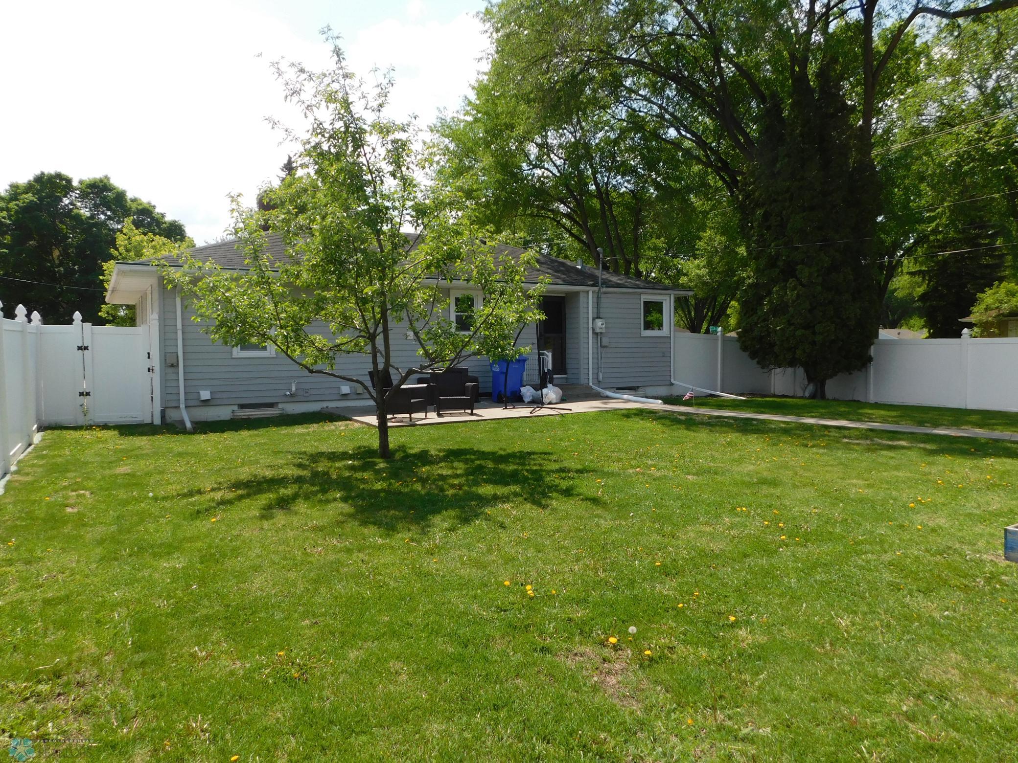 back yard
