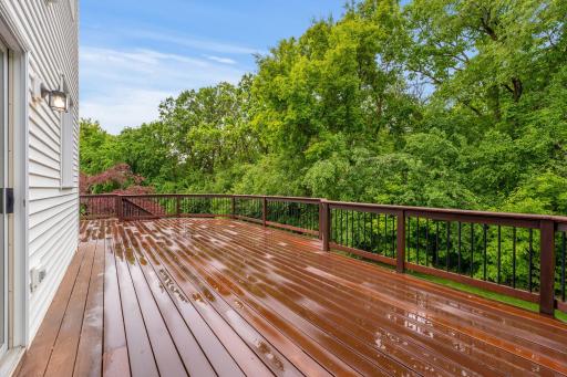 Amazing IPE (Ironwood) deck showcases the amazing backyard oasis