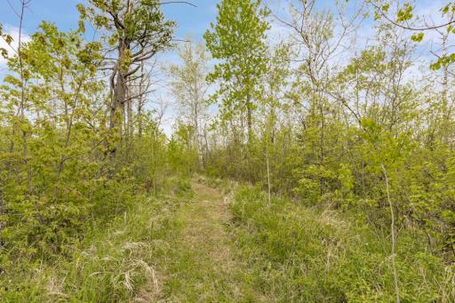 4085 County Rd 6, Barnum, MN 55767