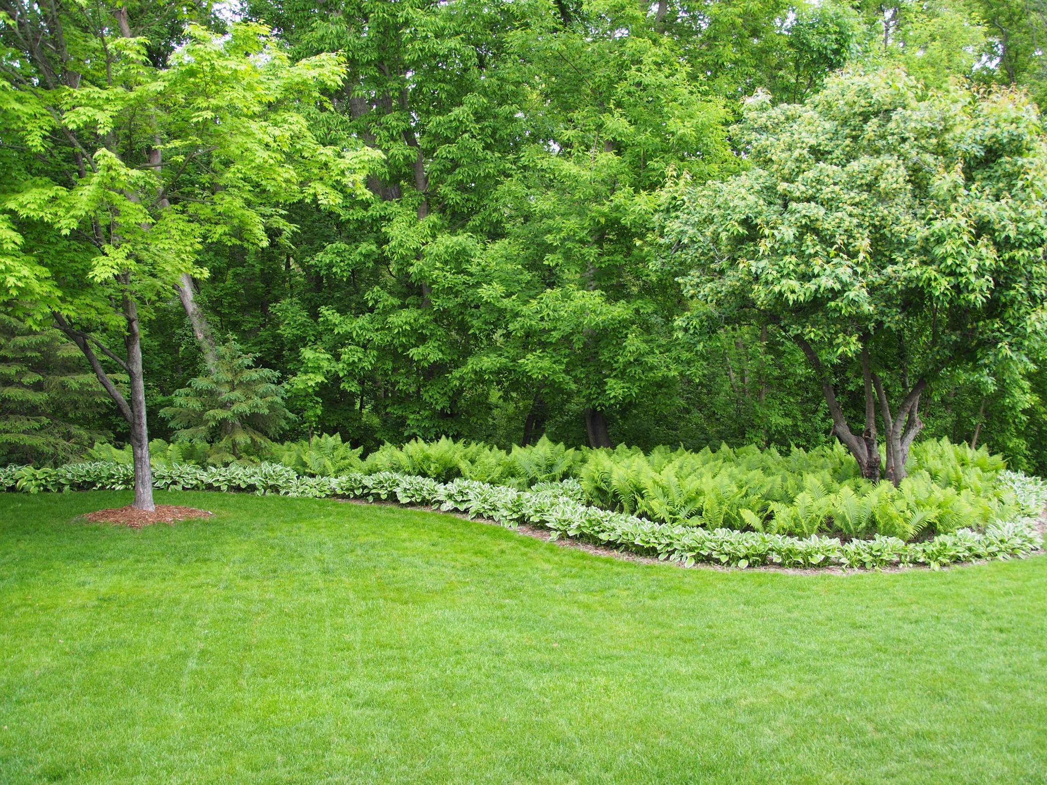 Amazing Perennial Gardens
