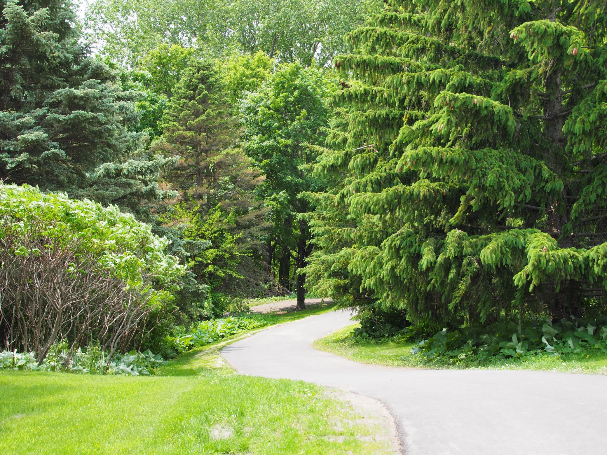 Walking trails adjacent to the property