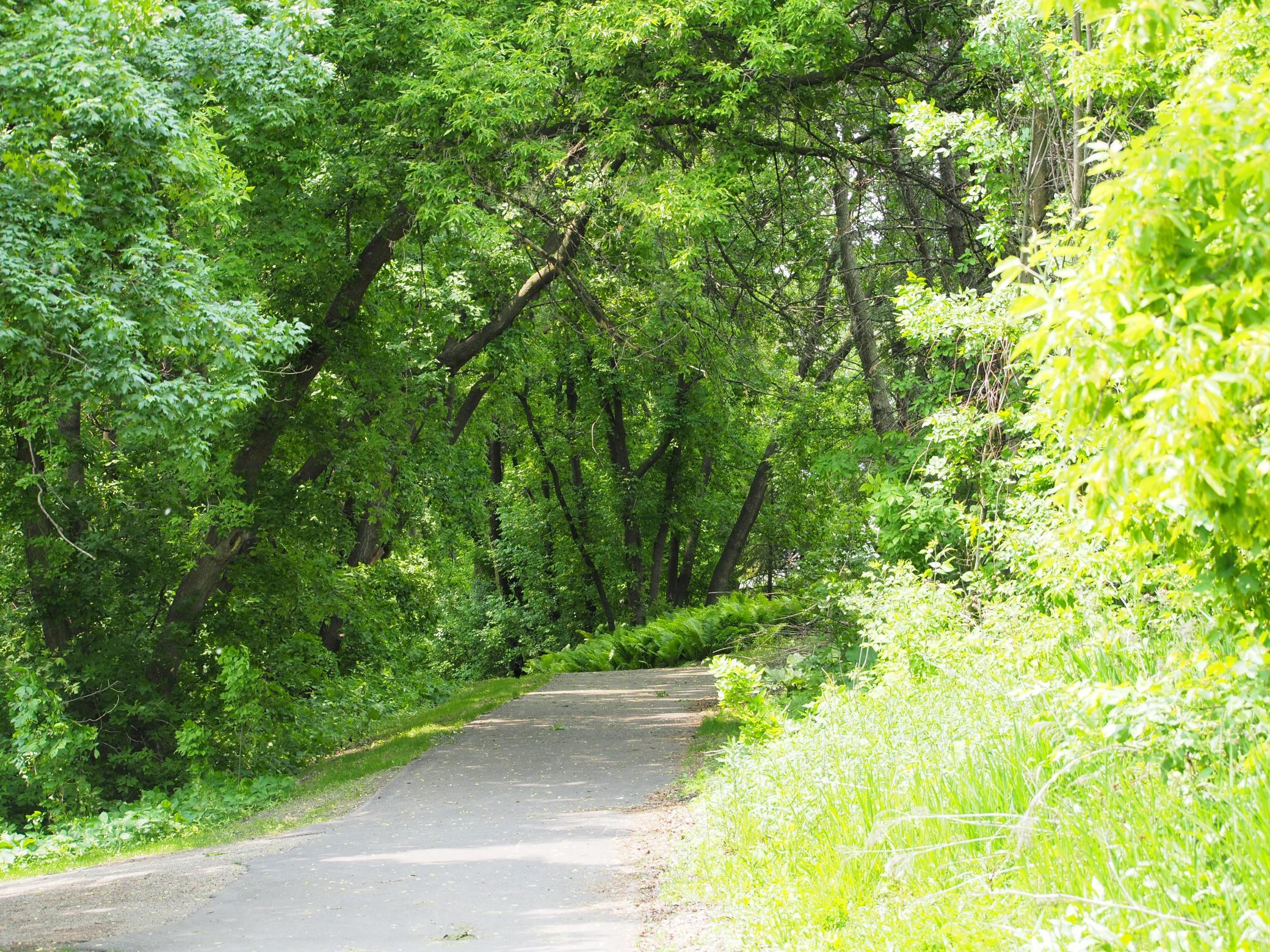 Place for a relaxing stroll