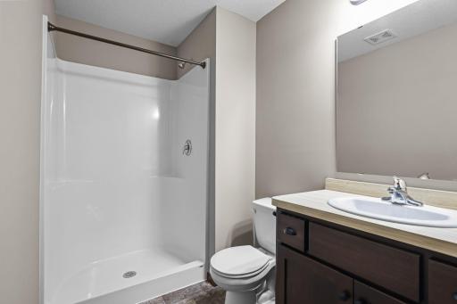 Bathroom #3 in lower level