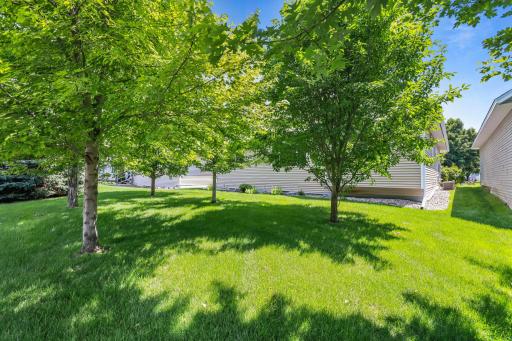 Backyard greenspace-Relax the HOA covers the irrigation, water & lawn maintenance!
