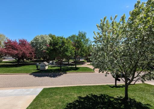 There are many flowering trees in the spring
