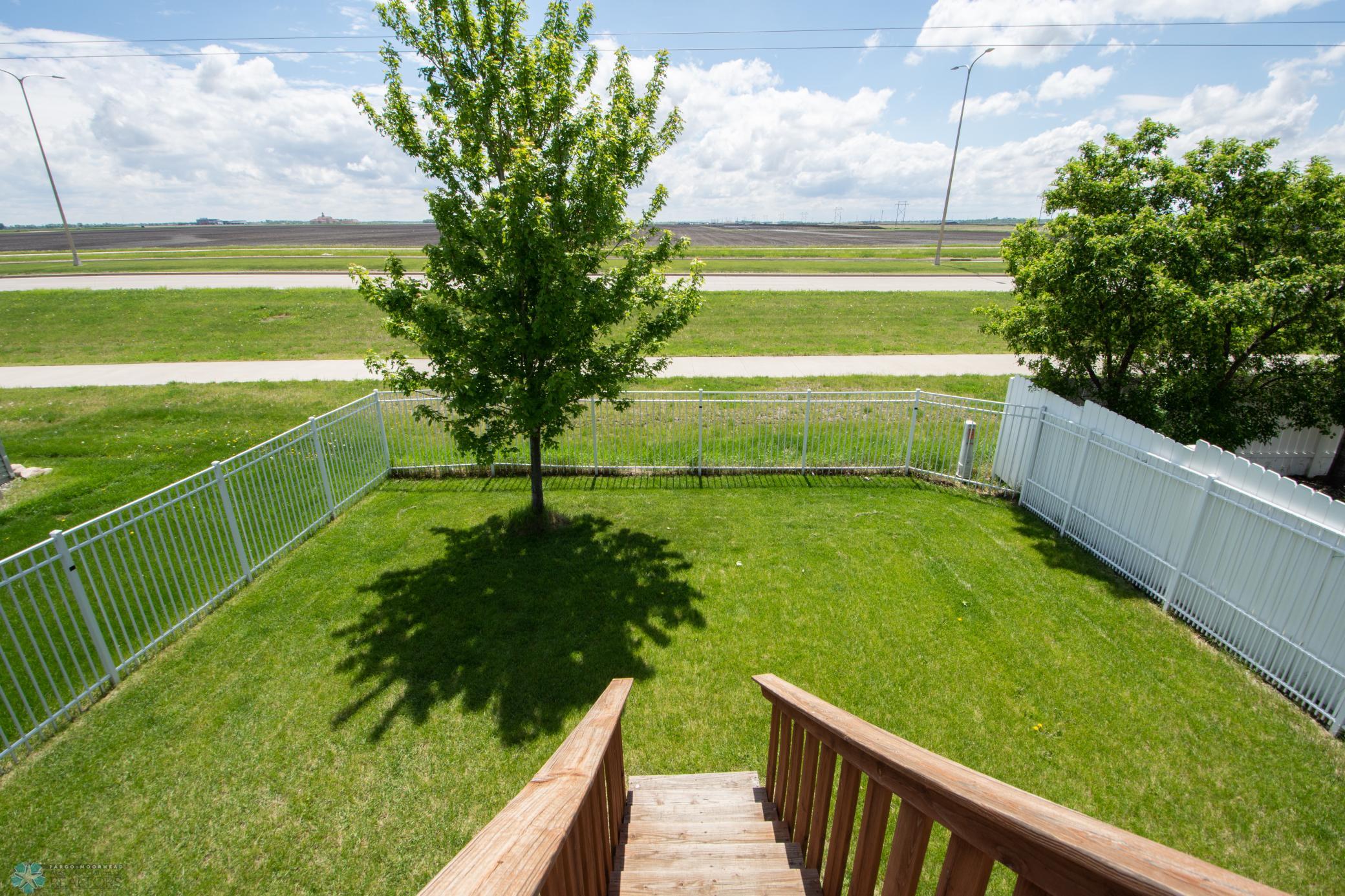 Deck & Yard