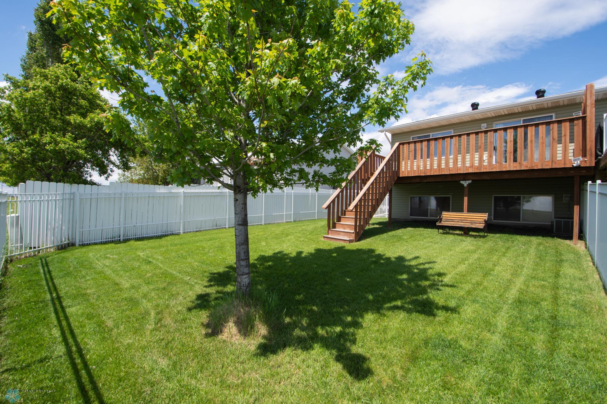 Deck & Yard