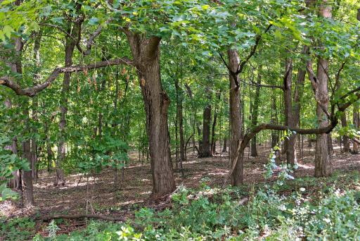 2170 Mcdow Lane, Maple Plain, MN 55359