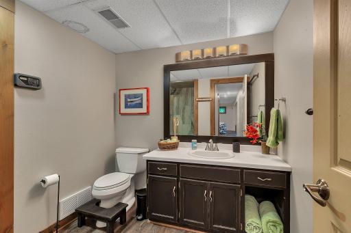Lower level spa-like bathroom with Sauna.