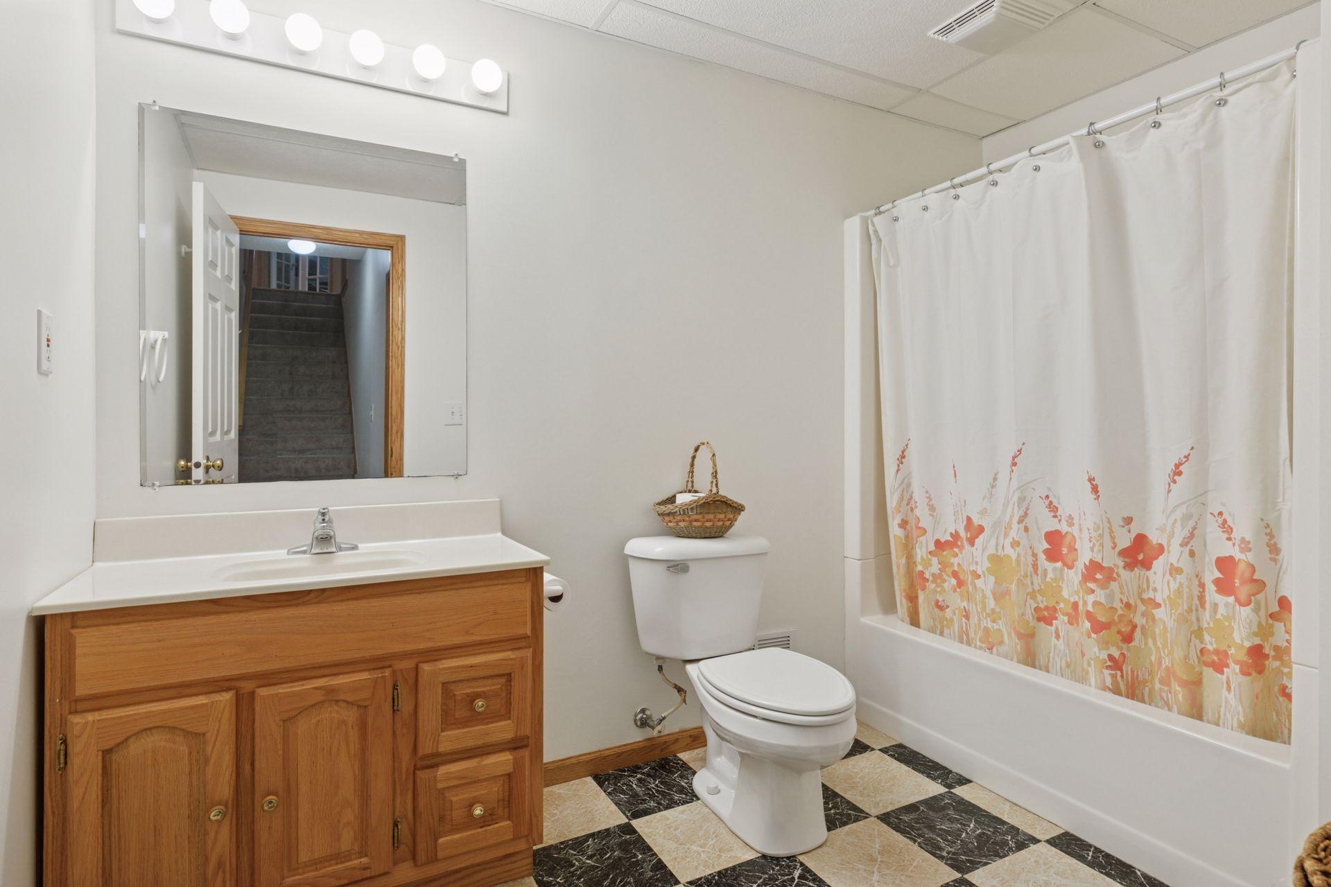 Lower Level Bathroom
