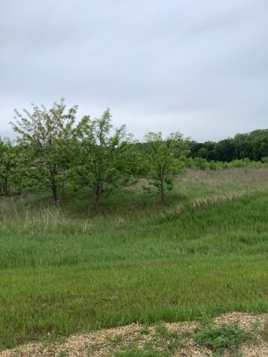 Lot 15 792nd, River Falls, WI 54022