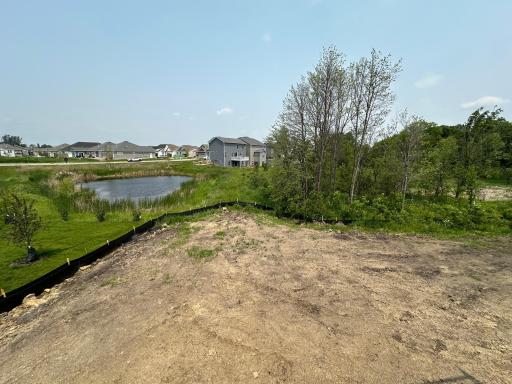 View of the backyard from inside the home!