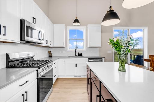 18105 Gavel Lane, Lakeville, MN 55044