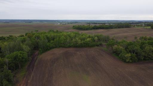 TBD 250th st E, Hampton, MN 55031