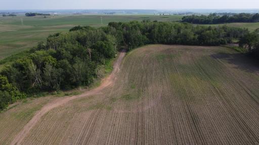 TBD 250th st E, Hampton, MN 55031
