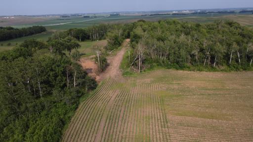TBD 250th st E, Hampton, MN 55031