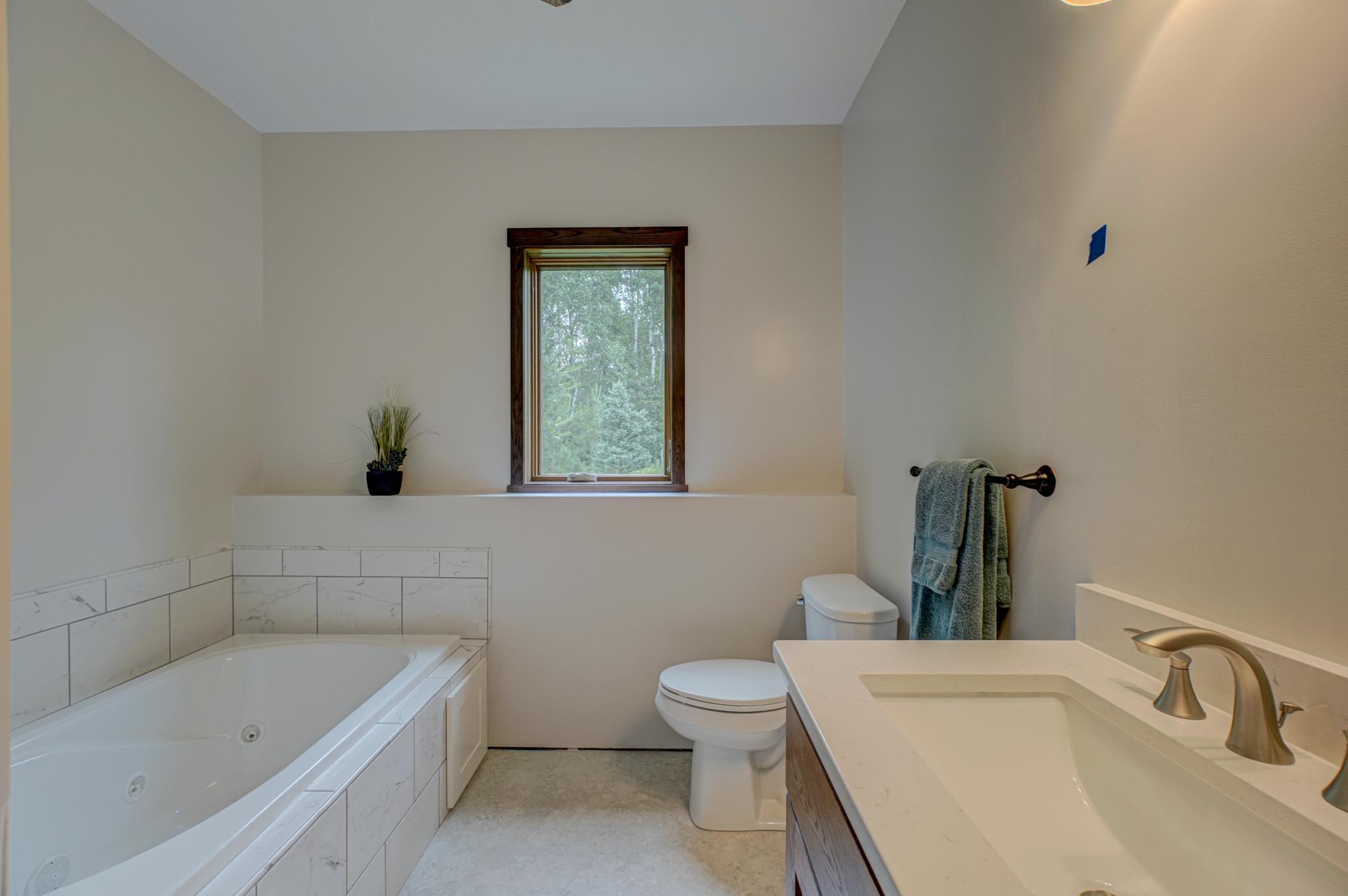 Lower level bathroom