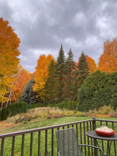 Take in the beauty of nature year-round in this stunning backyard oasis