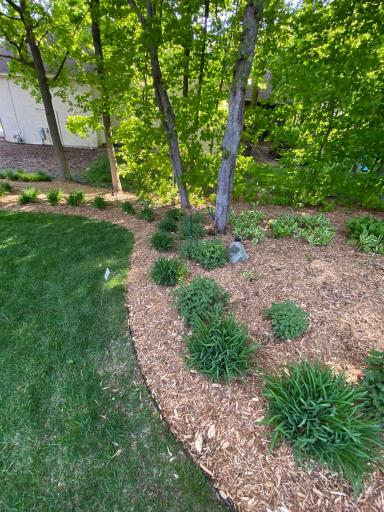 Highly landscaped property with integrated landscape lights thorughout