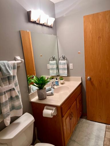15454 Sodium Street NW, Ramsey, MN 55303