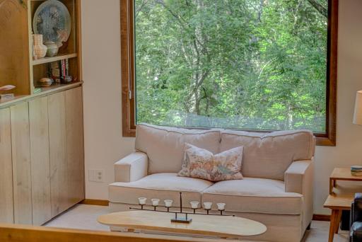 Huge windows with expansive tree top views