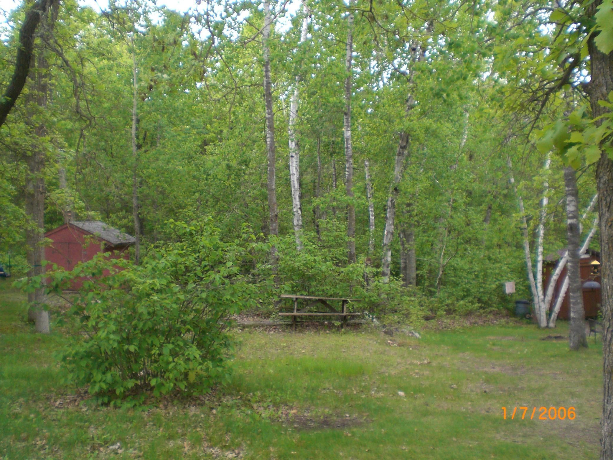 CIMG0003.JPG