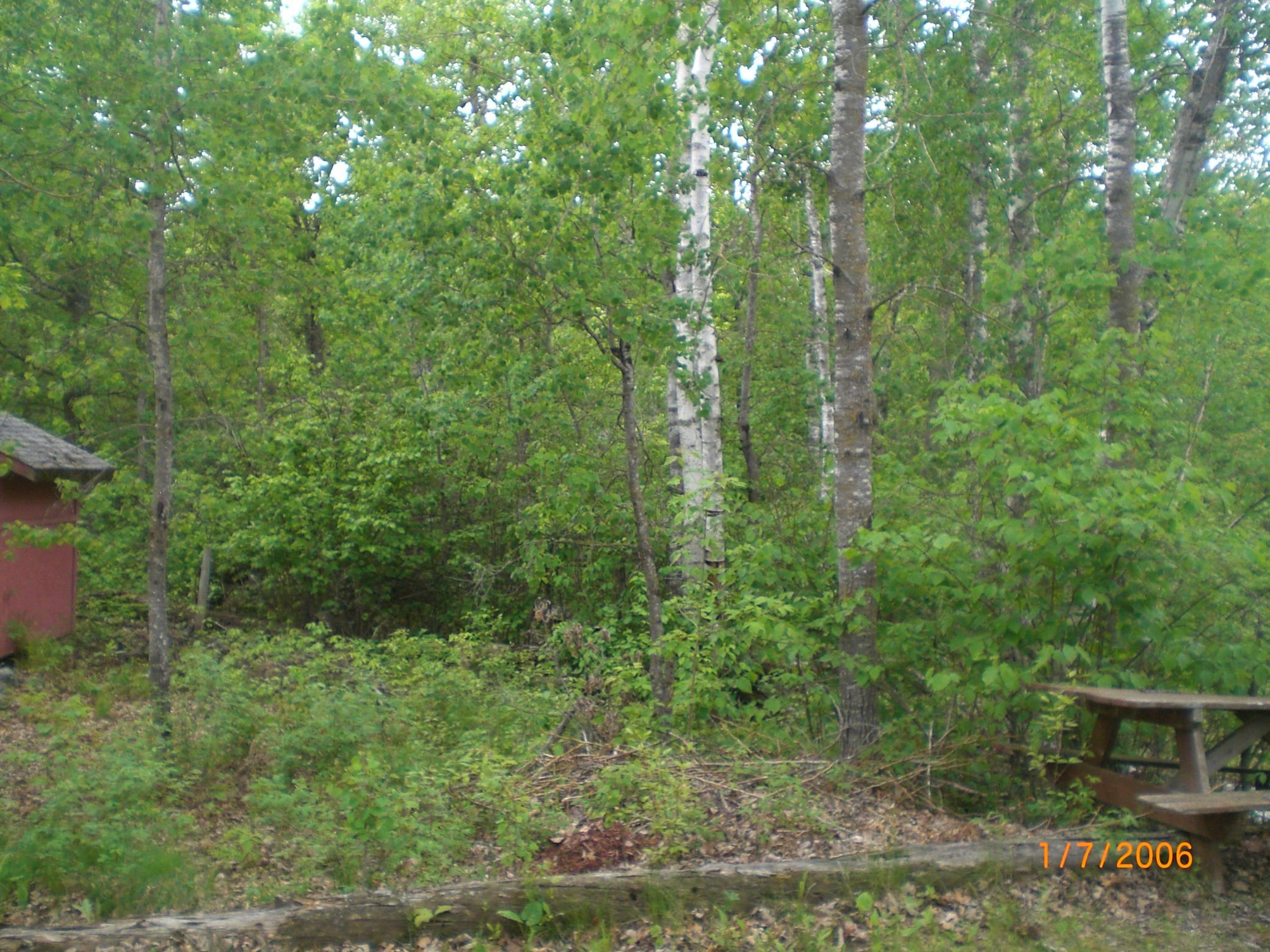 CIMG0005.JPG