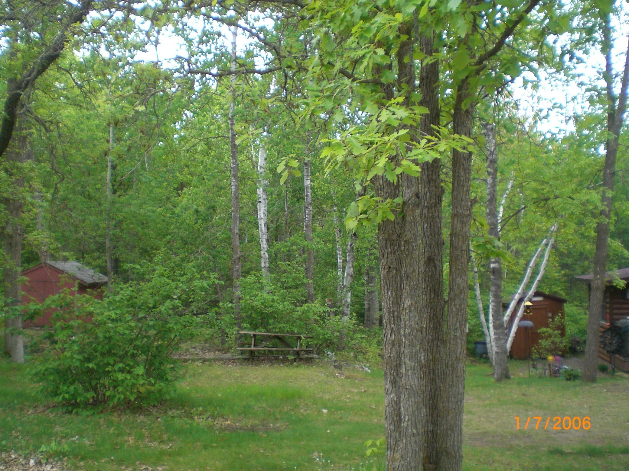 CIMG0006.JPG