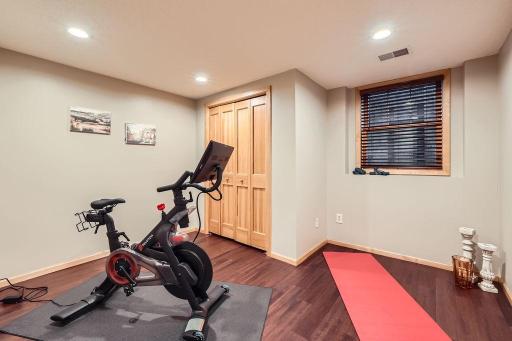 Lower Level Bedroom is a great flex space - perfect for guest room, exercise, additional office or craft room.