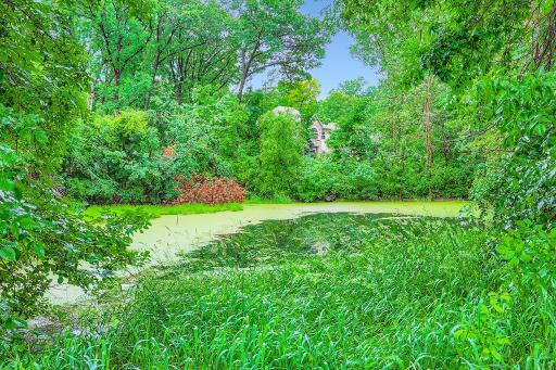 Nature views galore in this pond lot.
