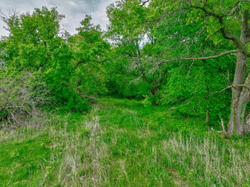 159 County Road Jj, River Falls, WI 54022