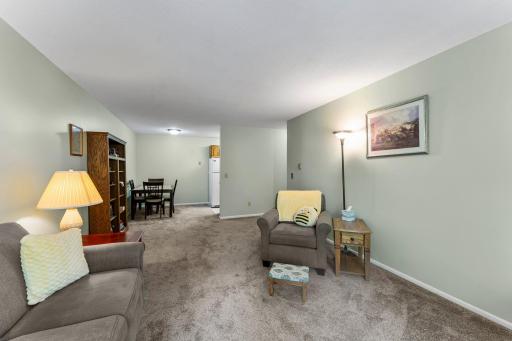 Large living room