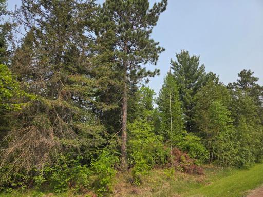 TBD Graycalm Court SE, Bemidji, MN 56601