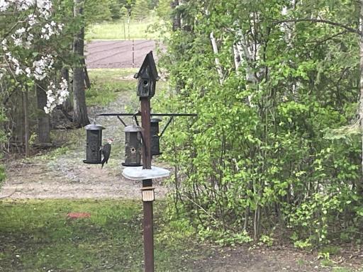 Photo for 358 18th Avenue NW, Baudette, MN 56623 - Listing #6730153 358 18th Avenue NW, Baudette, MN 56623
