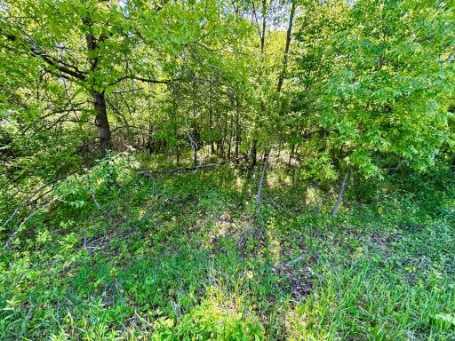TBD 235th Avenue, Long Prairie, MN 56347