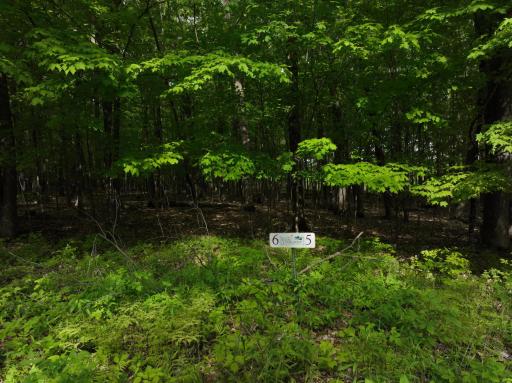 TBD Pleasantview Trail N, New Auburn, WI 54757